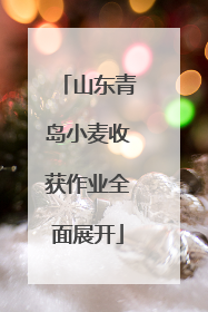 山东青岛小麦收获作业全面展开