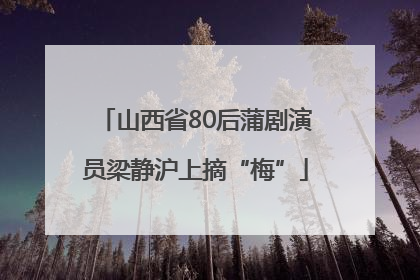 山西省80后蒲剧演员梁静沪上摘“梅”