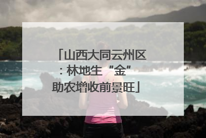 山西大同云州区：林地生“金” 助农增收前景旺