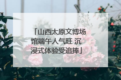 山西太原文博场馆端午人气旺 沉浸式体验受追捧