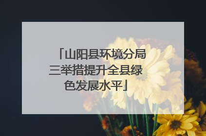 山阳县环境分局三举措提升全县绿色发展水平