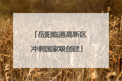 岳阳临港高新区冲刺国家级创建
