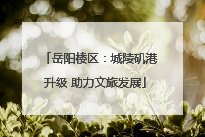 岳阳楼区：城陵矶港升级 助力文旅发展
