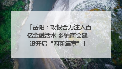 岳阳：政银合力注入百亿金融活水 乡镇商会建设开启“四新篇章”