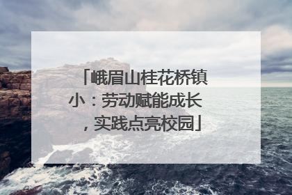 峨眉山桂花桥镇小：劳动赋能成长，实践点亮校园