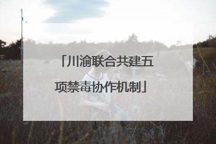 川渝联合共建五项禁毒协作机制