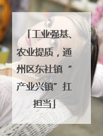工业强基、农业提质，通州区东社镇“产业兴镇”扛担当