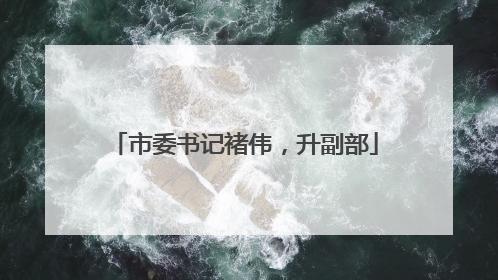 市委书记褚伟，升副部