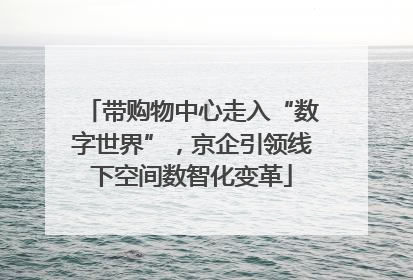 带购物中心走入“数字世界”，京企引领线下空间数智化变革