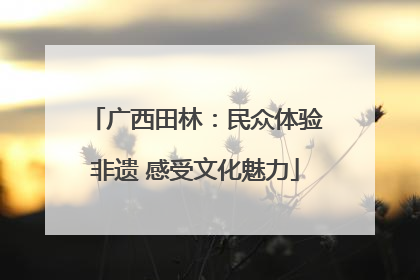 广西田林：民众体验非遗 感受文化魅力