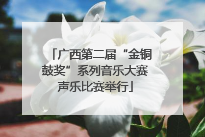 广西第二届“金铜鼓奖”系列音乐大赛声乐比赛举行