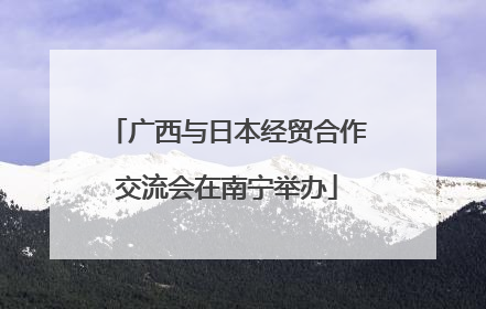广西与日本经贸合作交流会在南宁举办