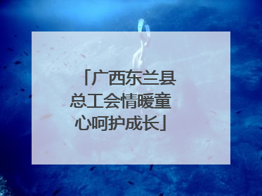 广西东兰县总工会情暖童心呵护成长