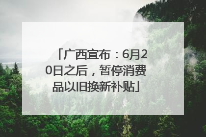 广西宣布：6月20日之后，暂停消费品以旧换新补贴
