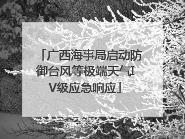 广西海事局启动防御台风等极端天气IV级应急响应