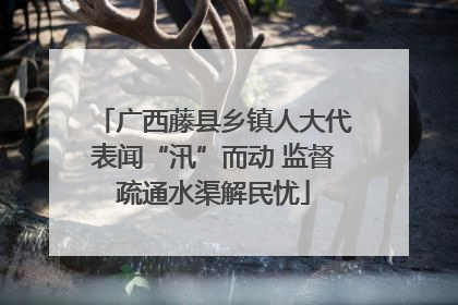 广西藤县乡镇人大代表闻“汛”而动 监督疏通水渠解民忧