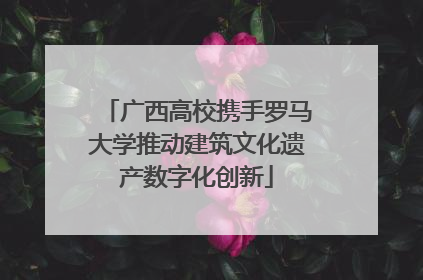 广西高校携手罗马大学推动建筑文化遗产数字化创新
