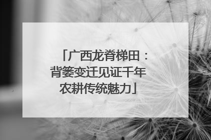 广西龙脊梯田：背篓变迁见证千年农耕传统魅力