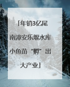 年销3亿尾 南漳安乐堰水库小鱼苗“孵”出大产业