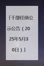 干部任前公示公告（2025年5月30日）