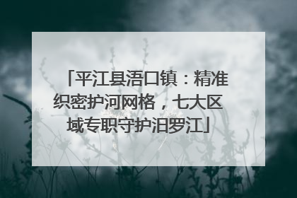平江县浯口镇：精准织密护河网格，七大区域专职守护汨罗江