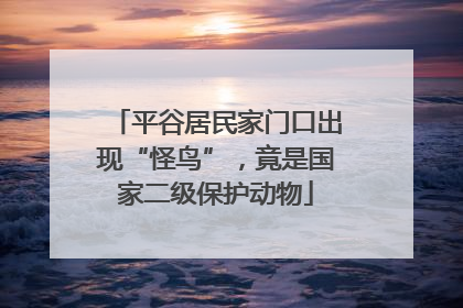 平谷居民家门口出现“怪鸟”，竟是国家二级保护动物