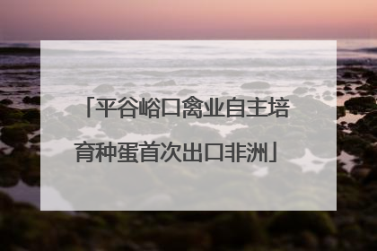 平谷峪口禽业自主培育种蛋首次出口非洲