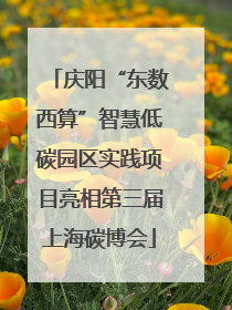 庆阳“东数西算”智慧低碳园区实践项目亮相第三届上海碳博会