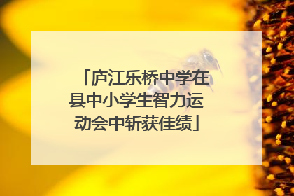 庐江乐桥中学在县中小学生智力运动会中斩获佳绩