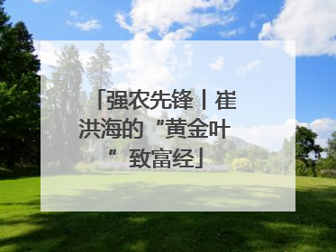 强农先锋丨崔洪海的“黄金叶”致富经