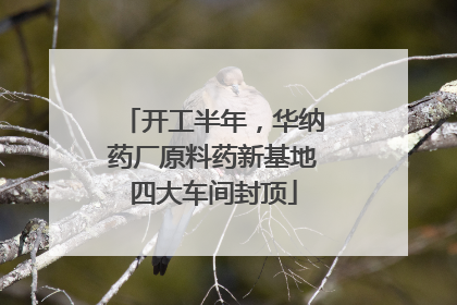 开工半年，华纳药厂原料药新基地四大车间封顶