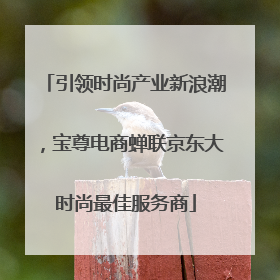 引领时尚产业新浪潮，宝尊电商蝉联京东大时尚最佳服务商