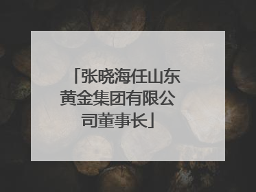 张晓海任山东黄金集团有限公司董事长