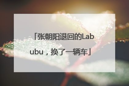 张朝阳退回的Labubu，换了一辆车