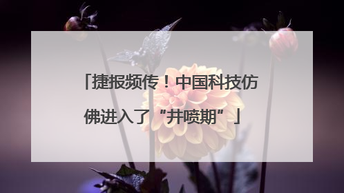 捷报频传！中国科技仿佛进入了“井喷期”