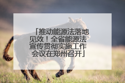 推动能源法落地见效！全省能源法宣传贯彻实施工作会议在郑州召开