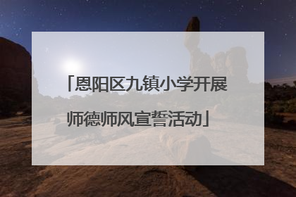 恩阳区九镇小学开展师德师风宣誓活动
