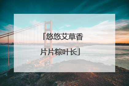悠悠艾草香 片片粽叶长