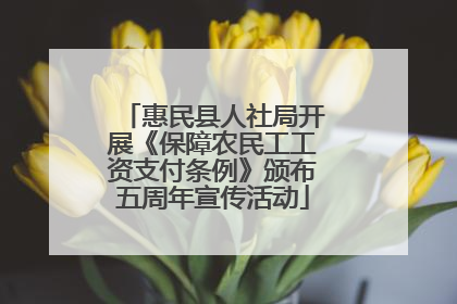 惠民县人社局开展《保障农民工工资支付条例》颁布五周年宣传活动