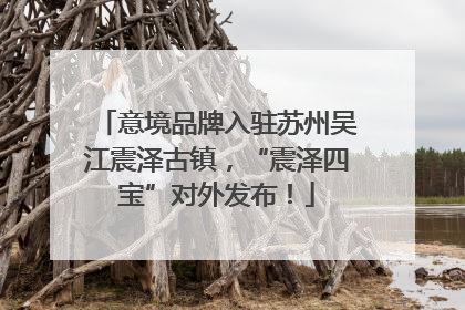 意境品牌入驻苏州吴江震泽古镇，“震泽四宝”对外发布！