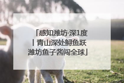 感知潍坊·深1度丨青山深处鲟鱼跃 潍坊鱼子酱闯全球