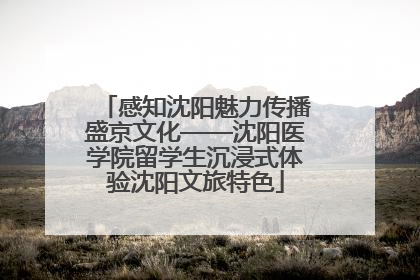感知沈阳魅力传播盛京文化——沈阳医学院留学生沉浸式体验沈阳文旅特色