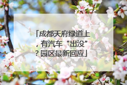 成都天府绿道上，有汽车“出没”？园区最新回应
