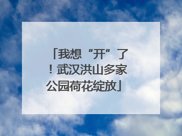 我想“开”了！武汉洪山多家公园荷花绽放