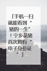 手机一扫就能看到“猪的一生”！宁乡花猪首次拥有“电子身份证”