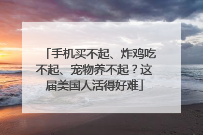 手机买不起、炸鸡吃不起、宠物养不起？这届美国人活得好难