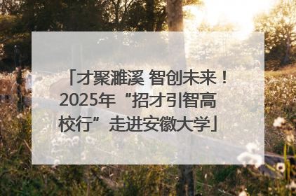才聚濉溪 智创未来！2025年“招才引智高校行”走进安徽大学