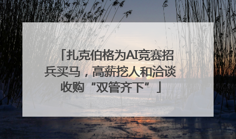 扎克伯格为AI竞赛招兵买马，高薪挖人和洽谈收购“双管齐下”