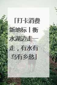 打卡消费新地标丨衡水湖边走一走，有水有鸟有乡愁
