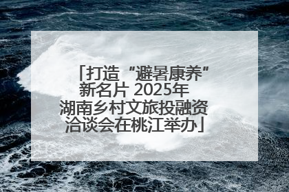 打造“避暑康养”新名片 2025年湖南乡村文旅投融资洽谈会在桃江举办